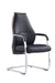 Mien Black and Mink Cantilever Chair